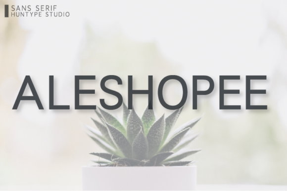 Aleshopee: A Simple Font for Big Business Impact