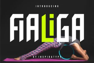 Fialiga: A Font for Clear Campaigns