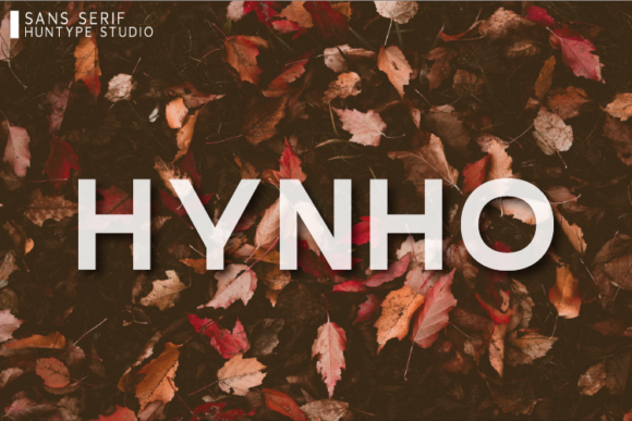 Hynho: A Modern Sans Serif Font