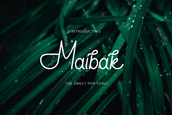 Maibak: A Flowing Sans Serif for Creative Projects