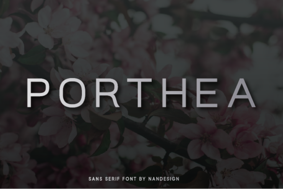 Porthea: A Clean, Casual Sans Serif