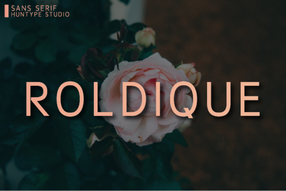 Roldique Font for Web Design