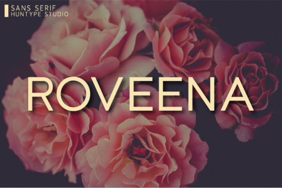 Roveena: A Clean, Versatile Font for Campaigns